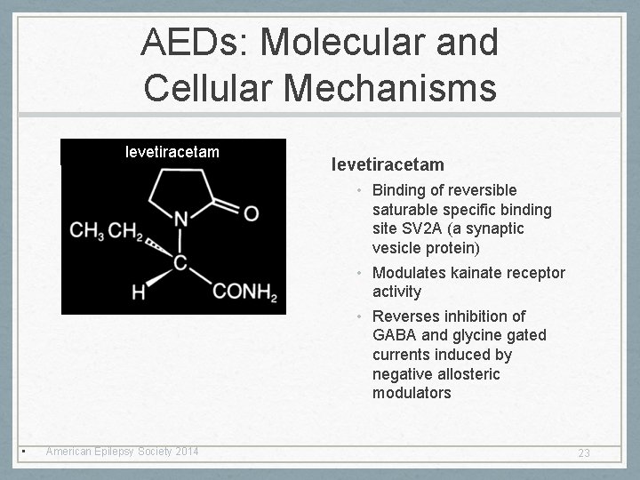 AEDs: Molecular and Cellular Mechanisms levetiracetam • Binding of reversible saturable specific binding site
