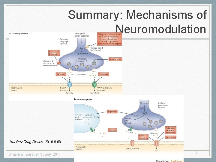 Summary: Mechanisms of Neuromodulation Nat Rev Drug Discov. 2010: 9: 68. American Epilepsy Society Summary: Mechanisms of Neuromodulation Nat Rev Drug Discov. 2010: 9: 68. American Epilepsy Society