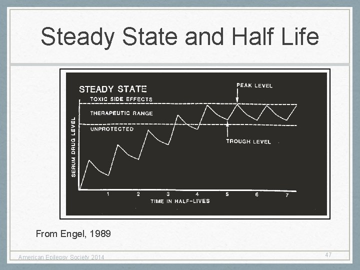 Steady State and Half Life From Engel, 1989 American Epilepsy Society 2014 47 