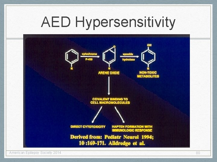 AED Hypersensitivity American Epilepsy Society 2014 80 