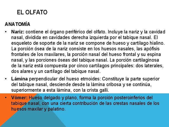 EL OLFATO ANATOMÍA • Nariz: contiene el órgano periférico del olfato. Incluye la nariz EL OLFATO ANATOMÍA • Nariz: contiene el órgano periférico del olfato. Incluye la nariz
