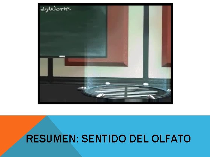RESUMEN: SENTIDO DEL OLFATO RESUMEN: SENTIDO DEL OLFATO