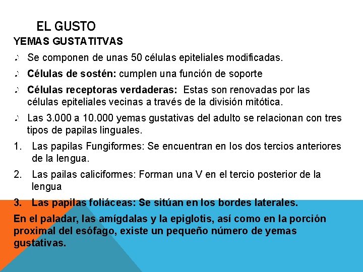 EL GUSTO YEMAS GUSTATITVAS Se componen de unas 50 células epiteliales modificadas. Células de EL GUSTO YEMAS GUSTATITVAS Se componen de unas 50 células epiteliales modificadas. Células de