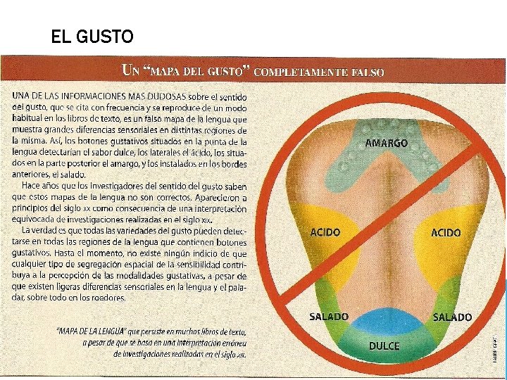 EL GUSTO EL GUSTO