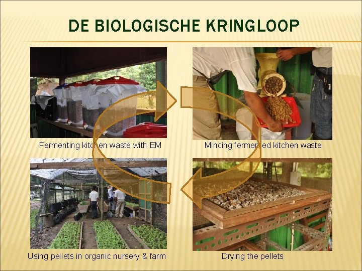 DE BIOLOGISCHE KRINGLOOP Fermenting kitchen waste with EM Using pellets in organic nursery &