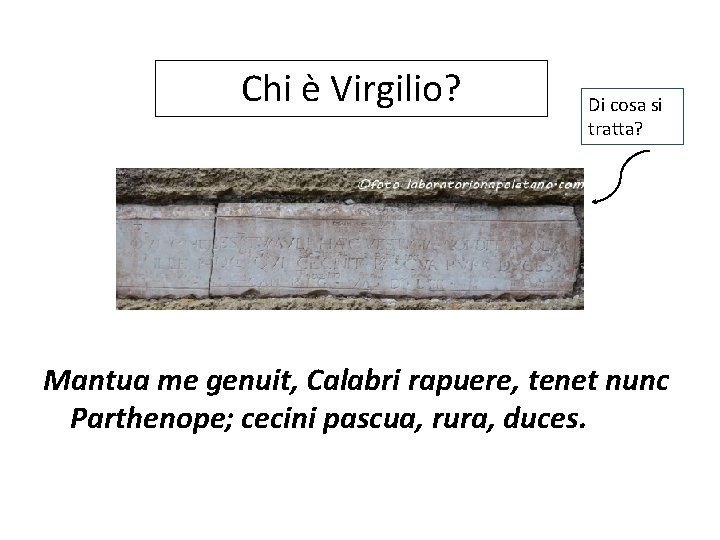 Chi è Virgilio? Di cosa si tratta? Mantua me genuit, Calabri rapuere, tenet nunc Chi è Virgilio? Di cosa si tratta? Mantua me genuit, Calabri rapuere, tenet nunc