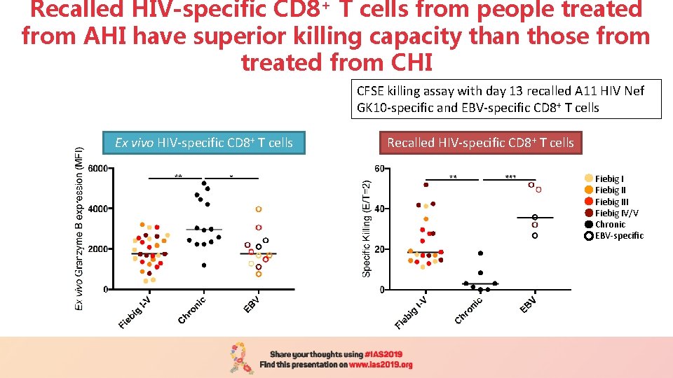 Recalled HIV-specific CD 8+ T cells from people treated from AHI have superior killing