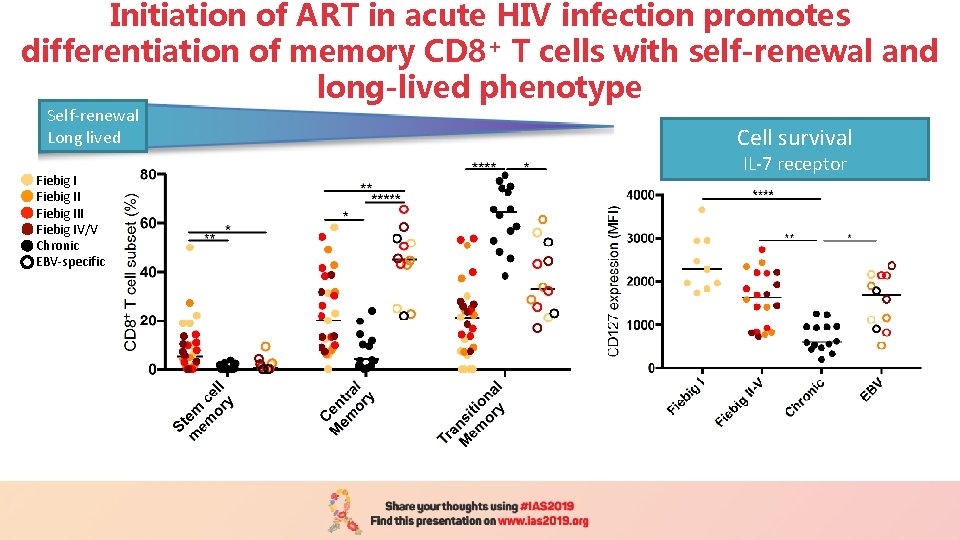 Initiation of ART in acute HIV infection promotes differentiation of memory CD 8+ T