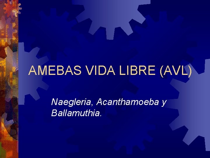 AMEBAS VIDA LIBRE (AVL) Naegleria, Acanthamoeba y Ballamuthia. 