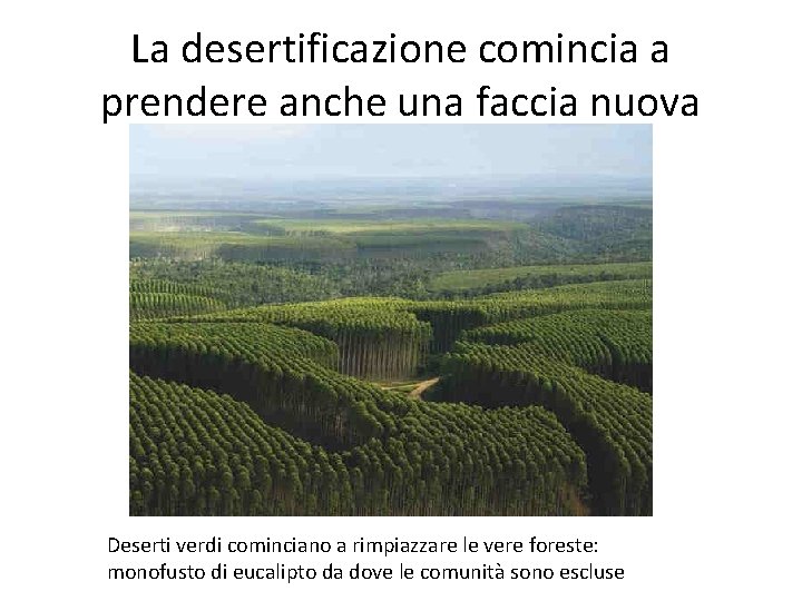 La desertificazione comincia a prendere anche una faccia nuova Deserti verdi cominciano a rimpiazzare