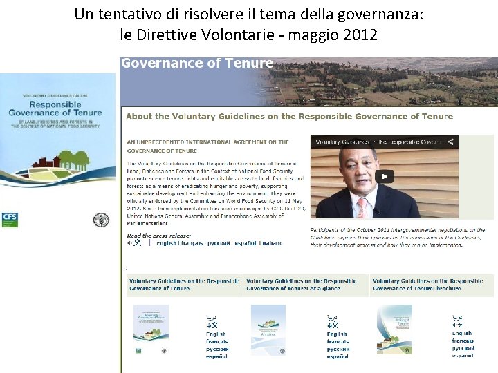 Un tentativo di risolvere il tema della governanza: le Direttive Volontarie - maggio 2012