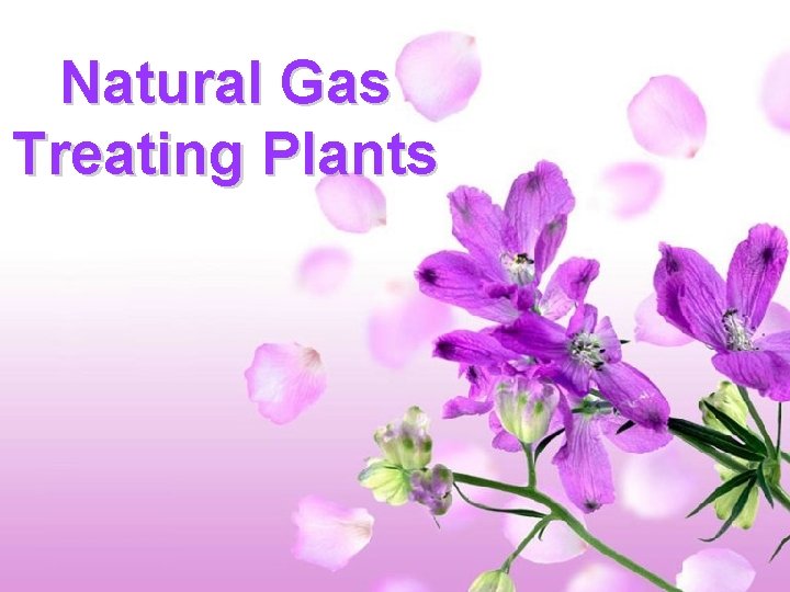 Operational Management Department Natural Gas Treating Plants N. I. G. C. Operational Management Department Natural Gas Treating Plants N. I. G. C.