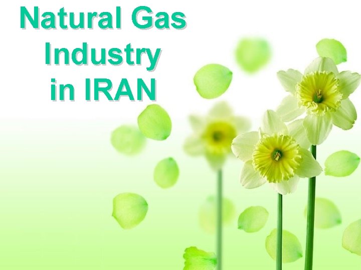 Natural Gas Industry in IRAN Operational Management Department N. I. G. C. Natural Gas Industry in IRAN Operational Management Department N. I. G. C.