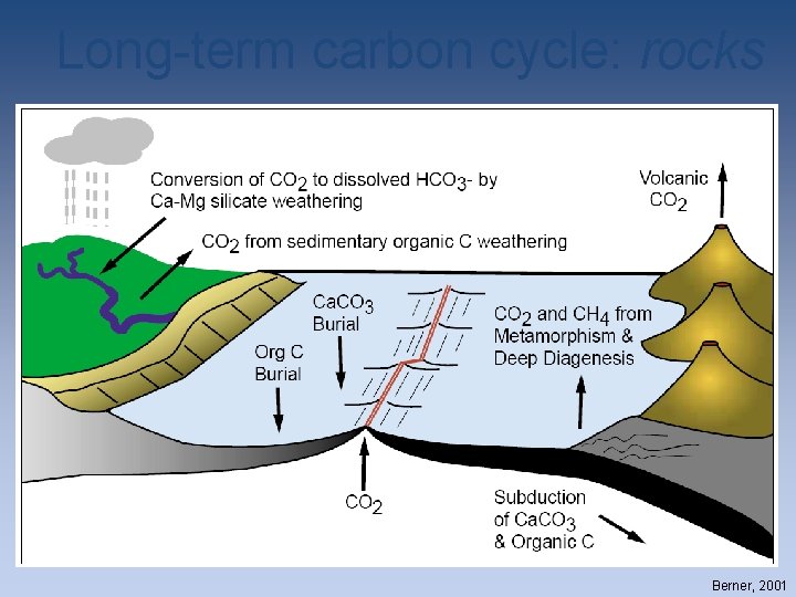 Long-term carbon cycle: rocks Berner, 2001 Long-term carbon cycle: rocks Berner, 2001