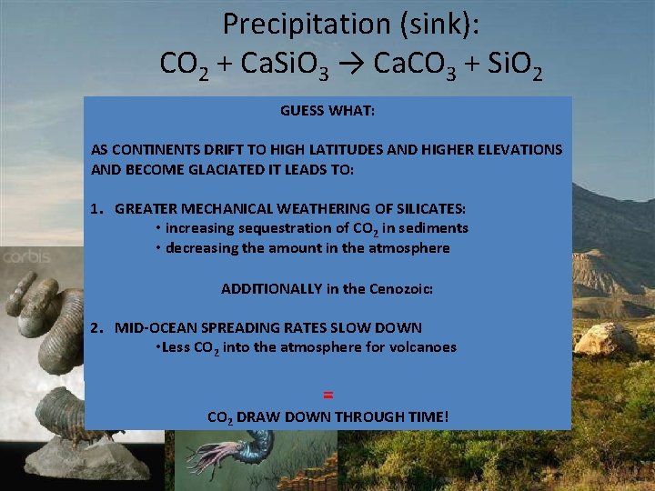 Precipitation (sink): CO 2 + Ca. Si. O 3 → Ca. CO 3 + Precipitation (sink): CO 2 + Ca. Si. O 3 → Ca. CO 3 +