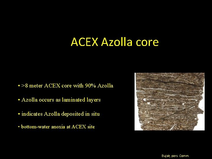 ACEX Azolla core • >8 meter ACEX core with 90% Azolla • Azolla occurs ACEX Azolla core • >8 meter ACEX core with 90% Azolla • Azolla occurs