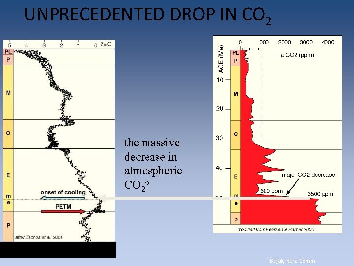 UNPRECEDENTED DROP IN CO 2 the massive decrease in atmospheric CO 2? Bujak, pers. UNPRECEDENTED DROP IN CO 2 the massive decrease in atmospheric CO 2? Bujak, pers.