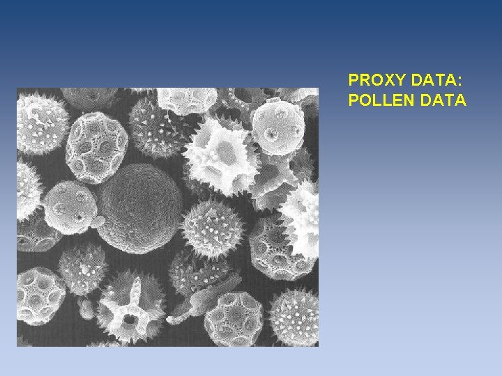 PROXY DATA: POLLEN DATA PROXY DATA: POLLEN DATA