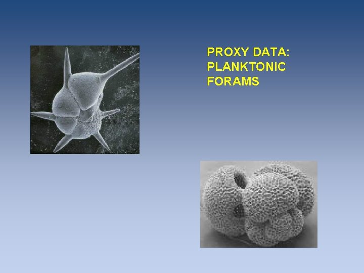 PROXY DATA: PLANKTONIC FORAMS PROXY DATA: PLANKTONIC FORAMS