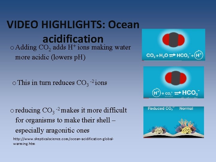VIDEO HIGHLIGHTS: Ocean acidification o Adding CO 2 adds H+ ions making water more VIDEO HIGHLIGHTS: Ocean acidification o Adding CO 2 adds H+ ions making water more