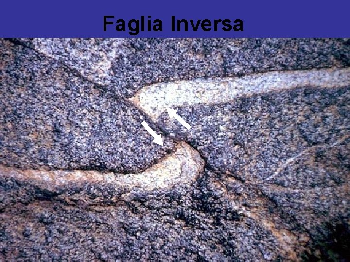 Faglia Inversa 