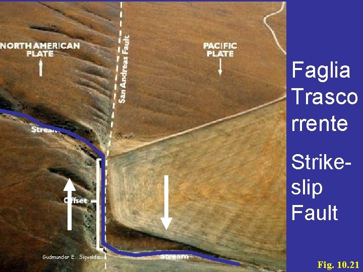 Faglia Trasco rrente Strikeslip Fault Gudmundar E. Sigvaldason Fig. 10. 21 