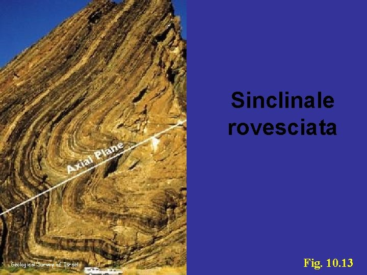 Sinclinale rovesciata Geological Survey of Israel Fig. 10. 13 