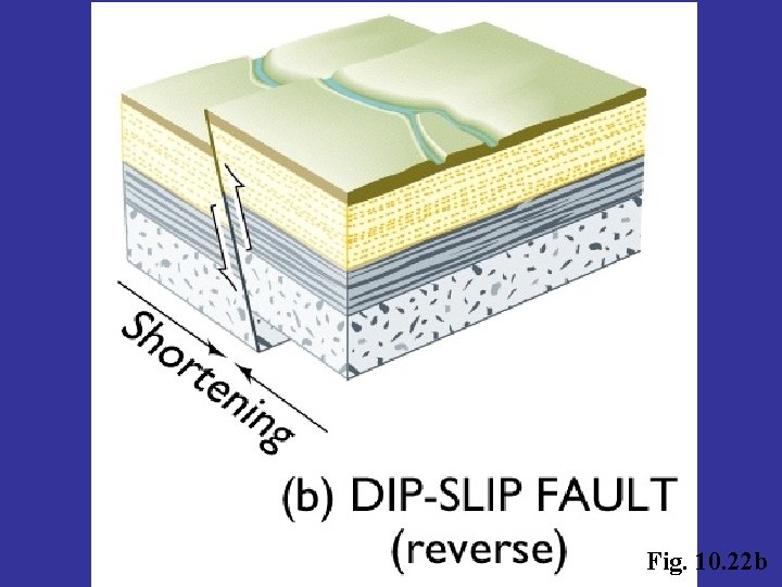 Fig. 10. 22 b 