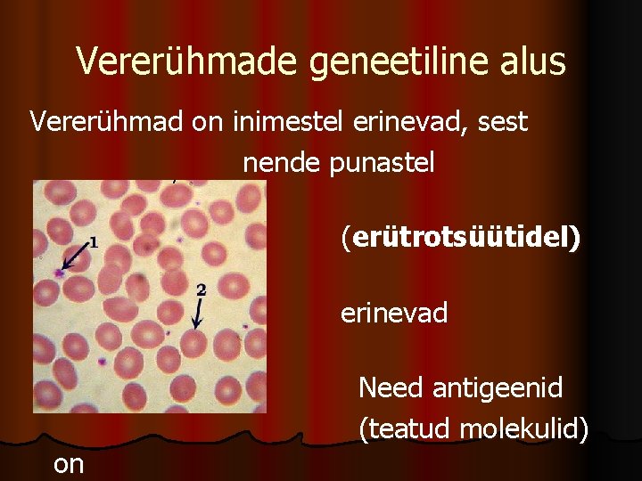 Vererühmade geneetiline alus Vererühmad on inimestel erinevad, sest nende punastel vererakkudel (erütrotsüütidel) on erinevad