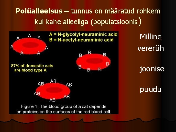 Polüalleelsus – tunnus on määratud rohkem kui kahe alleeliga (populatsioonis) m l b? Milline