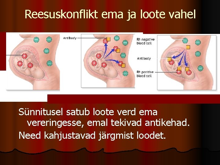 Reesuskonflikt ema ja loote vahel Sünnitusel satub loote verd ema vereringesse, emal tekivad antikehad.