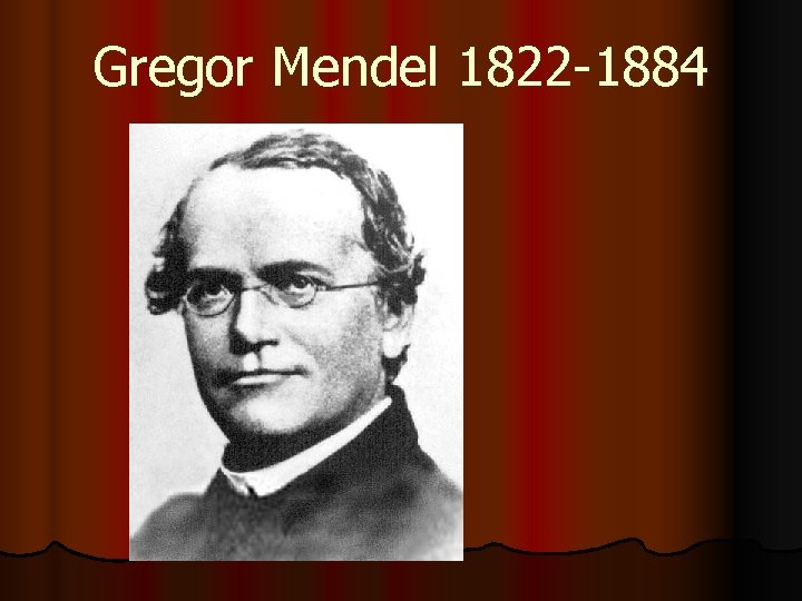 Gregor Mendel 1822 -1884 