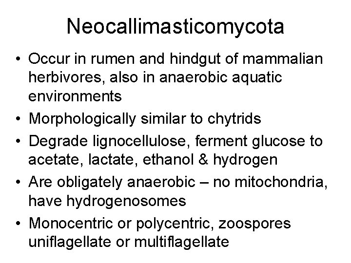 Neocallimasticomycota • Occur in rumen and hindgut of mammalian herbivores, also in anaerobic aquatic