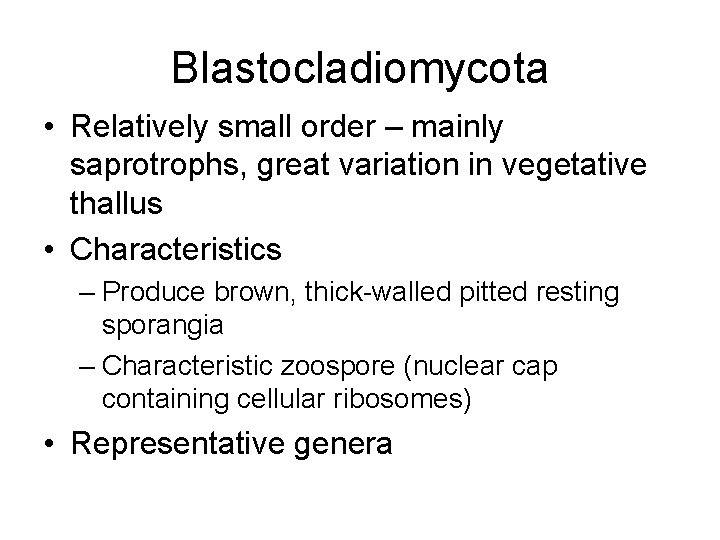 Blastocladiomycota • Relatively small order – mainly saprotrophs, great variation in vegetative thallus •