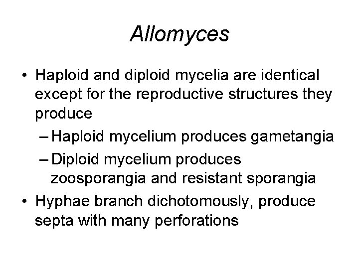 Allomyces • Haploid and diploid mycelia are identical except for the reproductive structures they