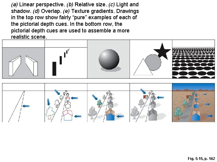 (a) Linear perspective. (b) Relative size. (c) Light and shadow. (d) Overlap. (e) Texture