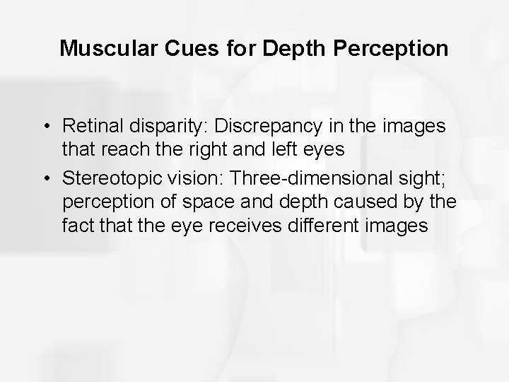 Muscular Cues for Depth Perception • Retinal disparity: Discrepancy in the images that reach