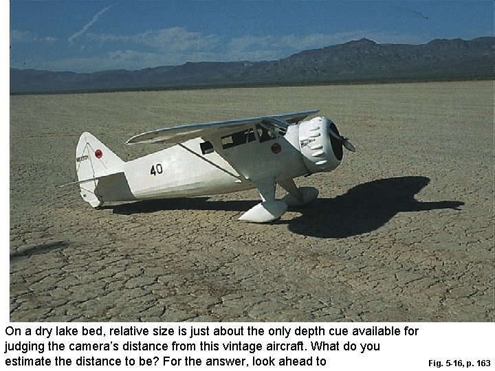 On a dry lake bed, relative size is just about the only depth cue