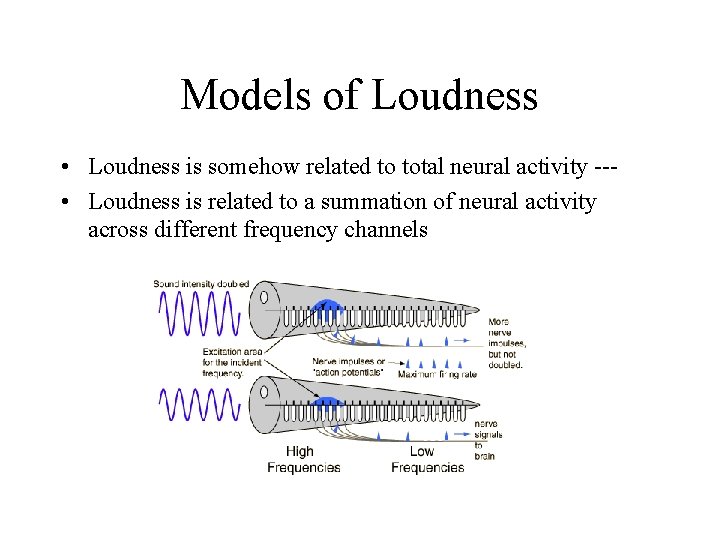 Models of Loudness • Loudness is somehow related to total neural activity -- •