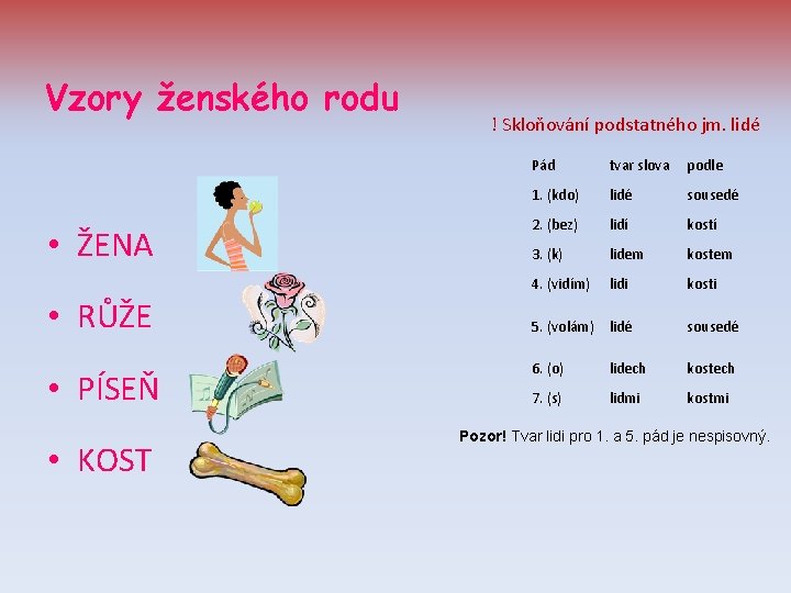 Vzory ženského rodu • ŽENA • RŮŽE • PÍSEŇ • KOST ! Skloňování podstatného