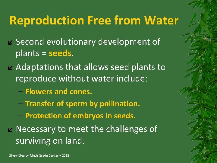 Reproduction Free from Water Second evolutionary development of plants = seeds. Adaptations that allows