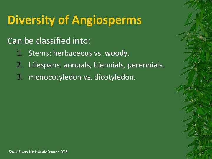 Diversity of Angiosperms Can be classified into: 1. Stems: herbaceous vs. woody. 2. Lifespans: