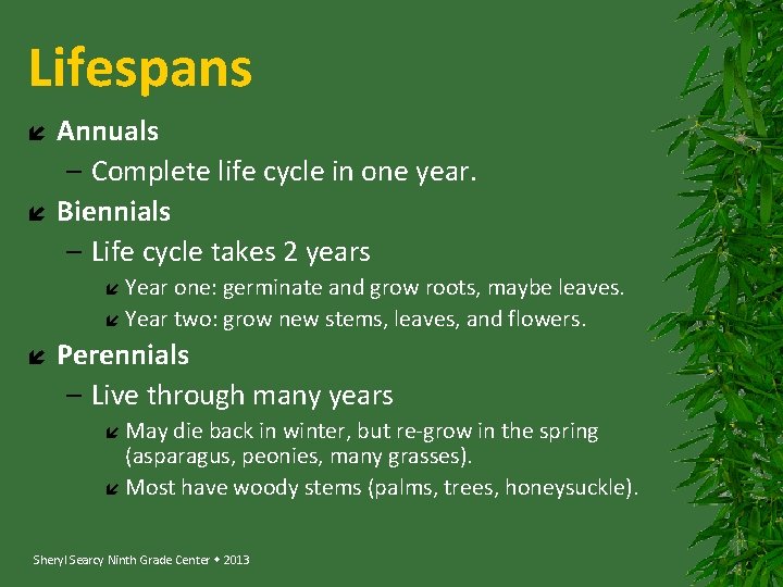 Lifespans Annuals – Complete life cycle in one year. Biennials – Life cycle takes