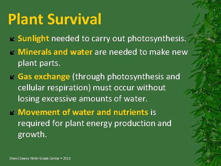 Plant Survival Sunlight needed to carry out photosynthesis. Minerals and water are needed to