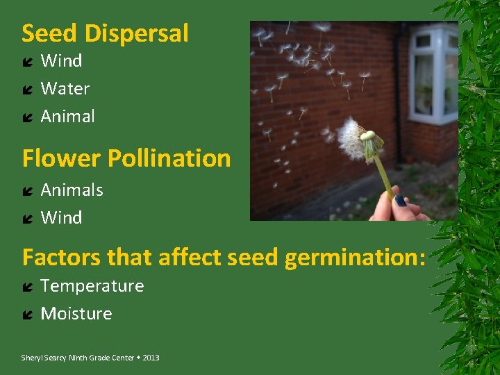Seed Dispersal Wind Water Animal Flower Pollination Animals Wind Factors that affect seed germination: