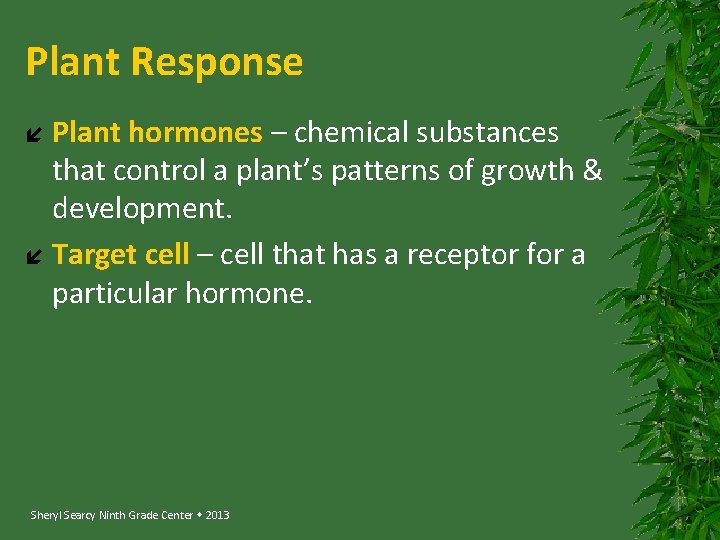 Plant Response Plant hormones – chemical substances that control a plant’s patterns of growth