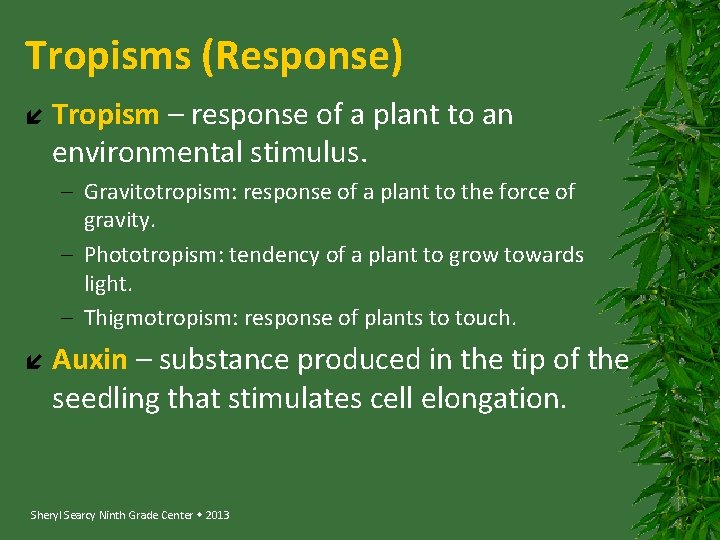 Tropisms (Response) Tropism – response of a plant to an environmental stimulus. – Gravitotropism: