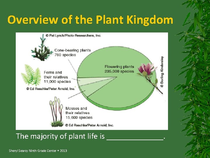 Overview of the Plant Kingdom The majority of plant life is _______. Sheryl Searcy