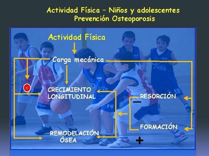 Actividad Física – Niños y adolescentes Prevención Osteoporosis Actividad Física Carga mecánica + RESORCIÓN