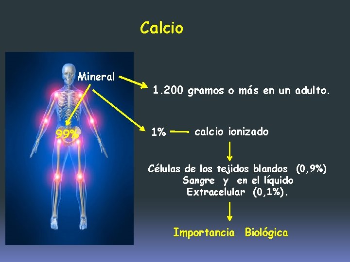 Calcio Mineral 99% 1. 200 gramos o más en un adulto. 1% calcio ionizado